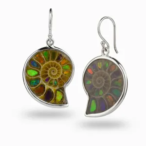 Ammolite Drop Earrings