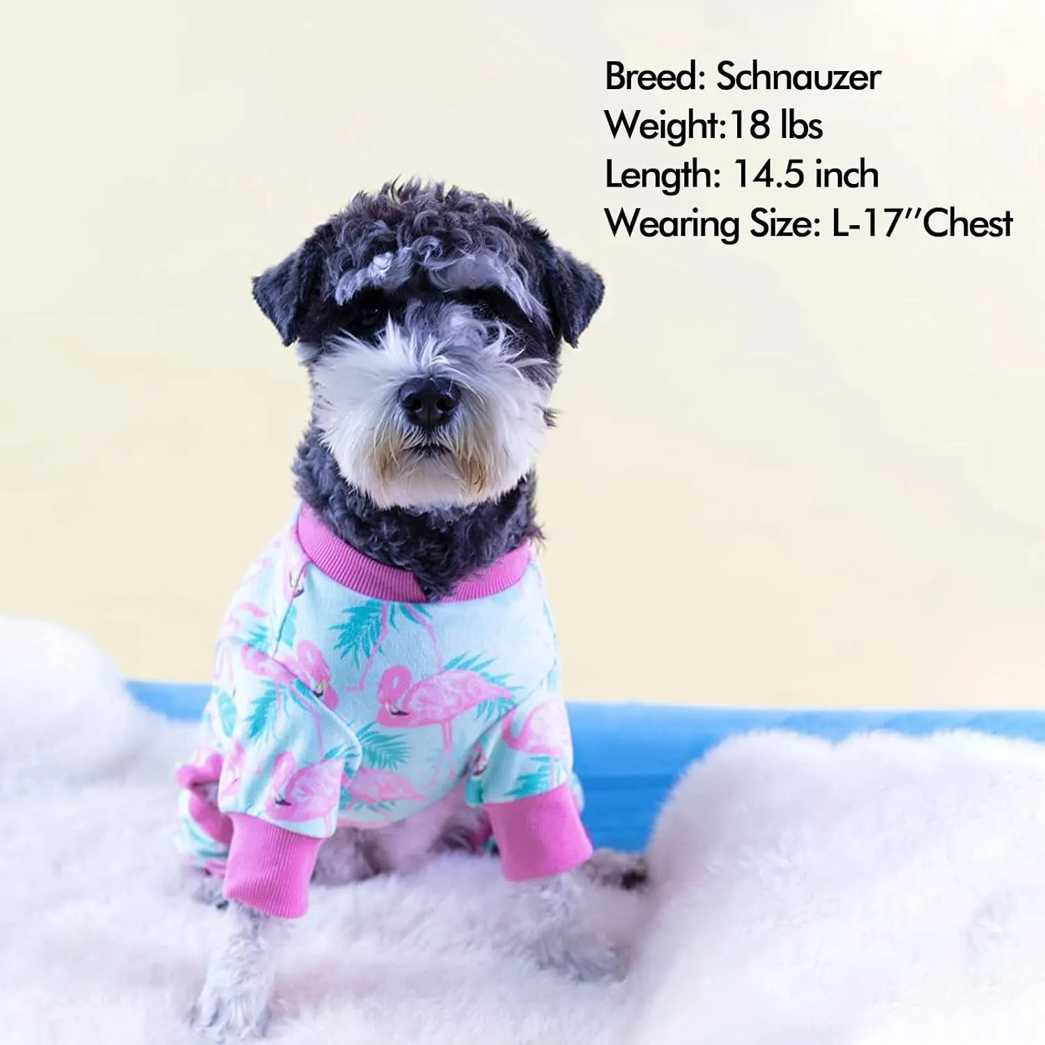 KYEESE Dog Pajamas Velvet Dog Pajamas Small Sized Dogs Soft Dogs Clothes Pjs with Flamingo Pattern Stretchy Pet Jammies Coat Comfy Pet Onesie Costume, X-Large