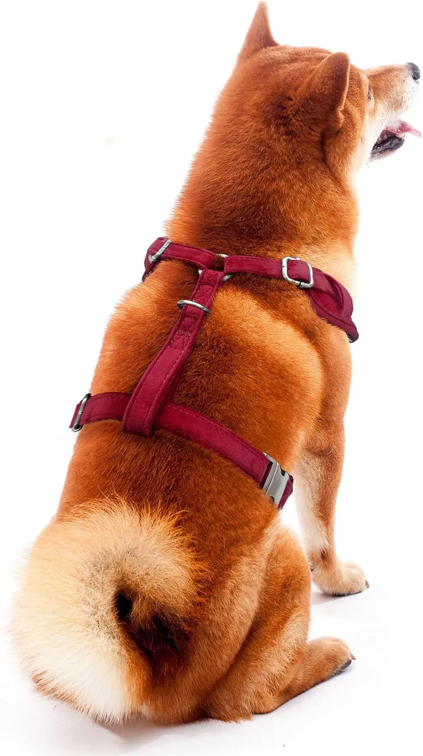 Littlearth NHL Unisex-Adult NHL Velvet Pet Harness