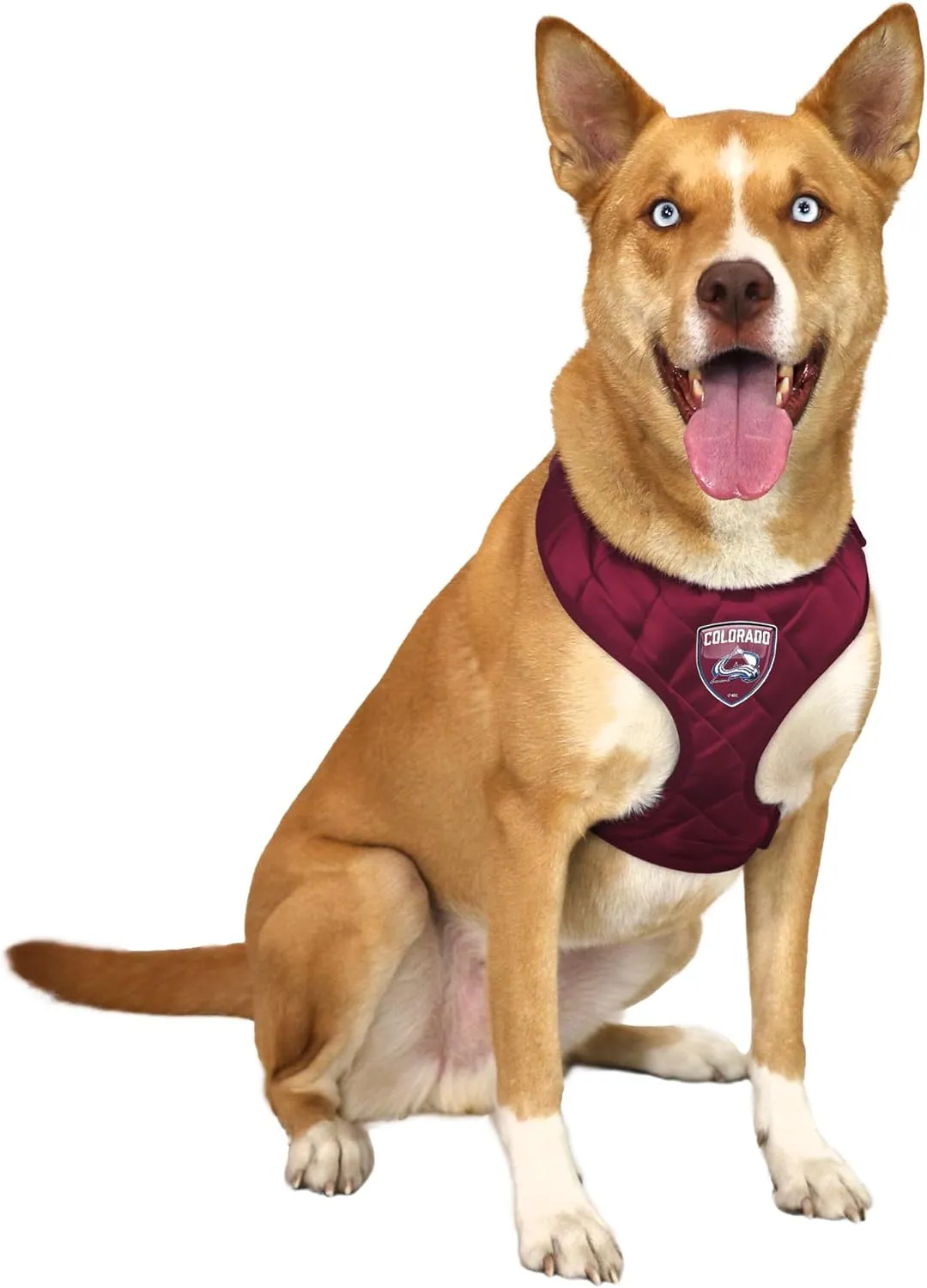 Littlearth NHL Unisex-Adult NHL Velvet Pet Harness